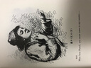 莎翁戲劇經(jīng)典：亨利五世 曬單實(shí)拍圖