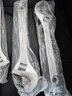 東工活絡(luò)扳手多功能大開口活動(dòng)扳手活口扳子萬(wàn)用工具扳手五金 專業(yè)級(jí)12寸（300mm） 曬單實(shí)拍圖