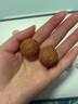 老樹(shù)果小核桃文玩核桃手串手把盤(pán)玩獅子頭猴頭秋子鐵核桃官帽蛤蟆頭手球 小粗筋核桃-原色 曬單實(shí)拍圖