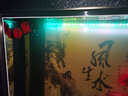 NY水族箱魚(yú)缸沖浪泵造浪小型打浪泵吹魚(yú)糞便強(qiáng)動(dòng)力造流泵磁鐵造浪泵 N713磁鐵式造浪泵—10瓦 造浪泵 曬單實(shí)拍圖