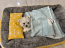 阿莫爾幼犬衣服奶狗奶貓超小號背心秋冬保暖茶杯犬0到3個月泰迪比熊博美 藍色蜜蜂 XXS 0.5-1.5斤-胸圍22cm背長14cm 曬單實拍圖
