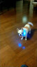 楚克奇（CHUKCHI）宠物狗项圈发光USB充电式LED电子项圈狗狗夜光脖圈中型颈圈防丢器 蓝色 S码周长约38CM 实拍图