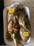 鮮可居漳州市東山縣 冷凍午魚 四指馬鲅 養(yǎng)殖馬友魚 鮮活速凍海鮮 2條【0.9-1.1斤/條】 曬單實拍圖