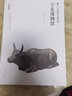 寧夏博物館(塞上江南的歷史華章)/絲路物語(yǔ)書(shū)系 曬單實(shí)拍圖