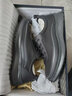 金利來（Goldlion）男鞋休閑鞋輕質(zhì)舒適透氣運(yùn)動網(wǎng)面鞋G551410345AAE黑色40 曬單實(shí)拍圖