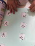 麦芽点读书 学前识字1000 宝宝幼小衔接学前汉字拼音幼儿园早教发声书 小达人小考拉点读笔配套图书 实拍图