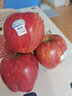 帆兒莊園順豐美國進(jìn)口紅蛇果大果紅蘋(píng)果A級+新鮮 4個(gè)裝 曬單實(shí)拍圖