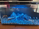 小米智能魚(yú)缸客廳辦公室桌面米家魚(yú)缸造景套裝遠程喂食超白玻璃生態(tài)缸 天然青龍石套裝（不含魚(yú)缸） 曬單實(shí)拍圖