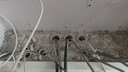 正品大唐電信六類網(wǎng)線CAT6六類千兆非屏蔽工程家裝網(wǎng)線0.57無氧銅 六類50米/送6水晶頭和保護套 曬單實拍圖