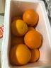 優(yōu)味集【JD速發(fā)】澳洲進(jìn)口橙子甜橙整箱新鮮臍橙凍冰糖大橙子生鮮果 1500g凈重裝（40%選擇-性價(jià)比） 商超A+級大果200g 曬單實(shí)拍圖