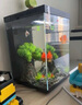 畫法幾何魚缸過濾材料 小米魚缸濾芯二代桌面魚缸專用生化過濾棉細(xì)菌屋 【米家桌面魚缸專用】過濾倉+生化棉+細(xì)菌屋 曬單實(shí)拍圖