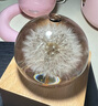 銘揚(yáng)飾海 18K黃金白金玫瑰金耳環(huán)男士耳圈單只潮流簡(jiǎn)約高級(jí)感圓圈耳釘耳飾 【小號(hào)】18K玫瑰金耳環(huán)：?jiǎn)沃?曬單實(shí)拍圖