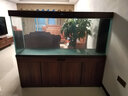 漢霸超白玻璃魚(yú)缸客廳家用2026年新款大型水族箱生態(tài)底濾智能懶人金魚(yú) 柚木色 屏風(fēng)180x60x160cm 曬單實(shí)拍圖