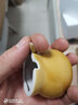 即墨老酒 雙龍戲珠 十年陳釀 窖藏黃酒 甜型焦香型度 禮盒裝 雙龍戲珠 940mL 1壇 曬單實(shí)拍圖