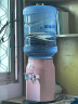 美宁达（Meiningda） 饮水机小型家用台式桌面饮水器宿舍办公室学生迷你冷热两用制水器 樱花粉 冰温款 实拍图
