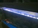 森森（SUNSUN）鱼缸潜水灯变色LED灯七彩照明水族箱造景灯龙鱼防水灯管 130cm双排灯蓝白色22W（带独立开关） 实拍图