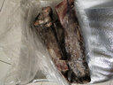 新鮮魷魚(yú)整只鮮活速凍墨魚(yú)烏賊八爪冷凍 中小號(hào)魷魚(yú) 1g(凈重)  3斤裝 曬單實(shí)拍圖