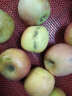 莹多爱 当季红富士苹果 丑苹果 2023年新鲜水果 黄肉苹果 产地直发 带箱 带箱10斤（净重8.5斤） 实拍图