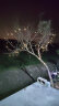 倍绿 太阳能灯串LED户外庭院灯圣诞节装饰灯防水星星灯七彩花园景观灯 200LED 22米 暖白 八功能 实拍图