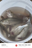 爬爬龍串鉤釣組防纏繞3鉤綁好鯽魚鉤海桿筏竿黃辣丁丸世金袖鉤三鉤 [手工精綁3鉤]丸世3鉤-10付 12號 曬單實拍圖