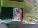 北菜園生菜有機散葉生菜250g有機蔬菜【進(jìn)店多樣加購】火鍋食材 曬單實(shí)拍圖