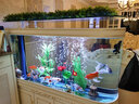 喜灝歐式子彈頭魚(yú)缸水族箱中大型1.2米家用客廳魚(yú)缸玻璃免換水金魚(yú)缸 150x43x158cm(帶柜-底濾） 曬單實(shí)拍圖
