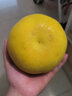 千園九味福建漳州翡翠爆汁葡萄柚當季時(shí)令 黃金柚子大果新鮮水果黃肉甜柚 老樹(shù)大果凈重8.5斤【單果300g+】 曬單實(shí)拍圖