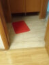 ACEBON 卫生间地垫浴室吸水门垫门口进门速干脚垫厕所防滑洗手间垫子 大红色 40*60cm 实拍图