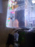 SEA STAR 鱼缸桌面透明热弯方形玻璃生态金鱼缸乌龟缸客厅小型迷你水族箱 230W豪华套餐 实拍图