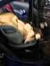Heekin引領(lǐng)者兒童安全座椅汽車(chē)用0-12歲嬰兒寶寶車(chē)載可坐躺智能通風(fēng)加熱 香檳金(單手旋轉+語(yǔ)音通風(fēng)加熱) 曬單實(shí)拍圖