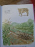 最美最美的博物書(shū) 動(dòng)物園+野生動(dòng)物+家畜+昆蟲(chóng)+樹(shù)（套裝共5冊） 曬單實(shí)拍圖