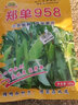大禹鄭單958玉米種子國(guó)審產(chǎn)高矮大棒雜交抗旱抗倒官方正品矮桿包谷 鄭單958玉米種子2斤國(guó)審 曬單實(shí)拍圖