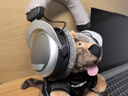 拜雅（beyerdynamic）DT880頭戴式高保真耳機(jī)半開放式HiFi音樂立體環(huán)繞音效有線版天鵝絨耳罩佩戴舒適 DT880[250歐] 曬單實(shí)拍圖