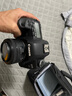 佳能 Canon 5D Mark IV單機5D2 5D3 5D4 6D 6D2全畫(huà)幅二手單反相機 佳能5D Mark II單機/ 5D2(不含鏡頭) 9新 曬單實(shí)拍圖