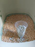 佳乐滋消臭珠猫砂伴侣可混合豆腐猫砂膨润土猫砂使用 夏威夷海岛香450ml 实拍图