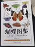 蝴蝶圖鑒 蝴蝶和蛾的實(shí)用鑒賞指南！內(nèi)容豐富、圖文并茂、科學(xué)準(zhǔn)確 曬單實(shí)拍圖
