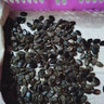 中科茂華 瓜果蔬菜種子 懶漢至尊寶 抗重茬墨綠皮西瓜種子 龍卷風(fēng)類型耐低溫 不起棱不空心不厚皮超甜 懶漢至尊寶 西瓜種子10克/袋 曬單實(shí)拍圖