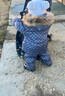 G.DUCKKIDS兒童羽絨服套裝冬季新款嬰幼兒寶寶背帶羽絨褲男童女童羽絨服外套 灰色 90 cm 曬單實拍圖