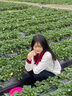 矜持范針織衫女春秋上衣設(shè)計(jì)感小眾2025年新款娃娃領(lǐng)撞色小個(gè)子短款開(kāi)衫 白色 均碼 曬單實(shí)拍圖