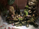 森森沖浪泵魚缸造流泵節(jié)能造浪泵水族箱大流量打浪泵沖魚糞便泵 48W四頭吸盤款（1.5米以上魚缸適用） 曬單實(shí)拍圖