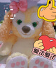 迪士尼（Disney）常規(guī)款可琦安餅餅坐姿玩偶公仔S號(hào)31cm 毛絨玩具生日禮物送女生 曬單實(shí)拍圖