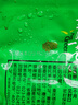 德莊青一色300g重慶德莊清油火鍋底料商用清一色青花椒魚缽缽雞調(diào)料 【3袋】青一色300g（超市同款) 曬單實(shí)拍圖