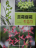 蘭花促花有竅門(mén) 曬單實(shí)拍圖