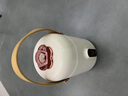 MILA MOURSI全自動電燉鍋養(yǎng)生電熱燉煮杯便攜式小型多功能電燉鍋辦公室迷你煮粥神器寶寶輔食鍋 珠光白【9小時預(yù)約】 0.9L 曬單實拍圖
