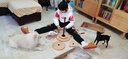蒙瑪特 畫(huà)架畫(huà)板帶抽屜箱體木制畫(huà)板畫(huà)架素描畫(huà)板畫(huà)架油畫(huà)架油畫(huà)工具套裝油畫(huà)套裝 畫(huà)凳 曬單實(shí)拍圖