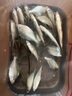 品田（pintian） 秋田狐 綁好的成品子線雙鉤野釣鯽魚細條長柄 有倒刺釣魚鉤 33cm 1號鉤子線0.6 曬單實拍圖