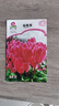 京農研花種子大小葫蘆種籽向日葵太陽(yáng)花紫蘇虞美人薰衣草貓薄荷陽(yáng)臺盆栽 仙客來(lái) 約6粒 曬單實(shí)拍圖