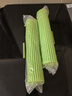 妙潔（MIAOJIE） 吸水膠棉拖把免手洗家用滾輪擠水金屬桿海綿吸水膠棉拖把替換頭 滾輪拖把透明袋替換頭3個 曬單實(shí)拍圖