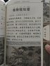 老子大學(xué)中庸注音版 大字拼音注釋插圖完整版 【中國古典插畫】 老子道德經(jīng) 尚雅國學(xué)經(jīng)典 東南大學(xué)出版社 曬單實拍圖