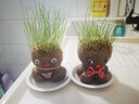 聽(tīng)雪樓頭上長(cháng)草娃娃草頭開(kāi)花兒童種植小盆栽種草綠植觀(guān)察植物生長(cháng)幼兒園  草頭娃娃+章魚(yú)娃娃+噴壺+底托 曬單實(shí)拍圖